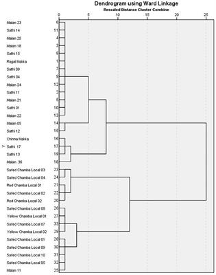 Nutritional Diversity in Native Germplasm of Maize Collected From Three Different Fragile Ecosystems of India